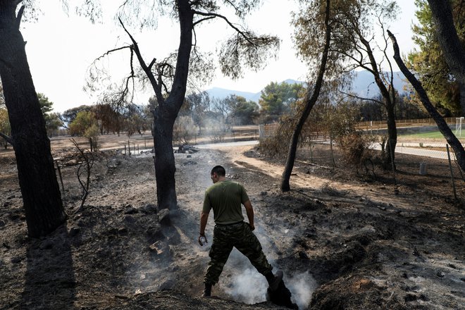 Uničenje zaradi požarov je popolno. FOTO: Louiza Vradi, Reuters