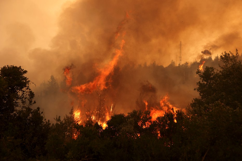 Fotografija: V Grčiji divja ali je divjalo skoraj 600 požarov. FOTO: Nicolas Economou, Reuters