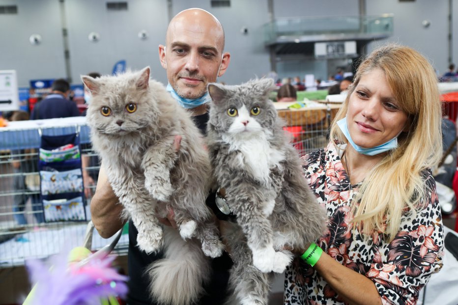 Fotografija: Sašo Seme in Nina Jašič z mačjima očarljivkama pasme selkirk rex