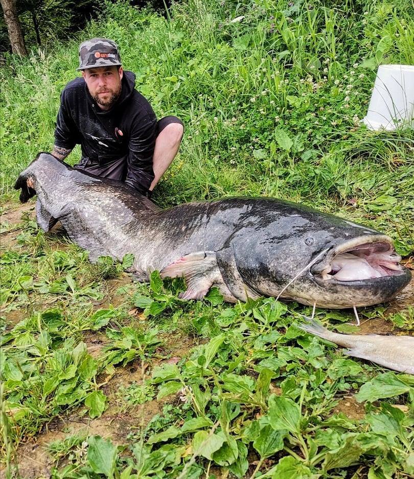 Fotografija: Največji, ki ga je doslej ujel Gregor Skutnik, je tehtal 73 kilogramov in bil dolg 234 centimetrov. FOTO: Krapar.si