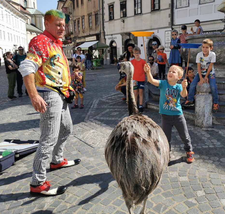 Fotografija: Na Tartinijevem trgu v Piranu bo zabava, tam bo tudi klovn Žare. FOTOgrafije: Kmetija Cetin
