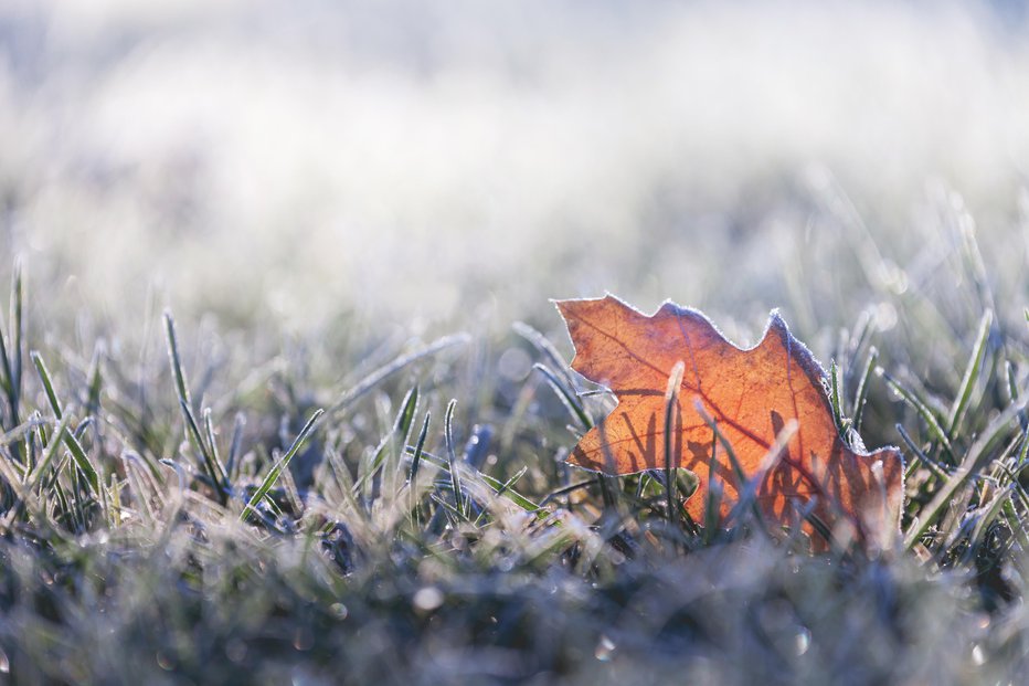 Fotografija: Fotografija je simbolična. FOTO: Tbgrant, Getty Images, Istockphoto
