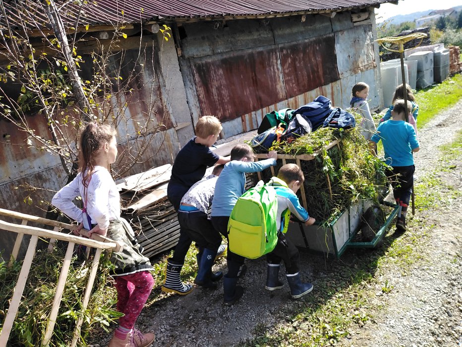 Fotografija: Mnogi so se prvič srečali z delom na domačiji.
