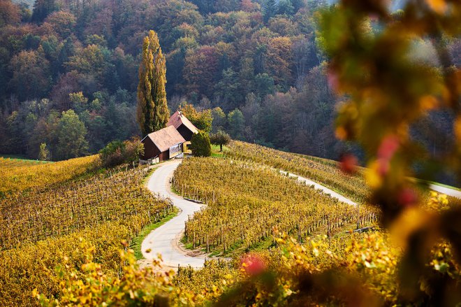 Jesen s toplimi odtenki poskrbi za slikovite razglede. Foto: Iztok Medja/slovenia.info
