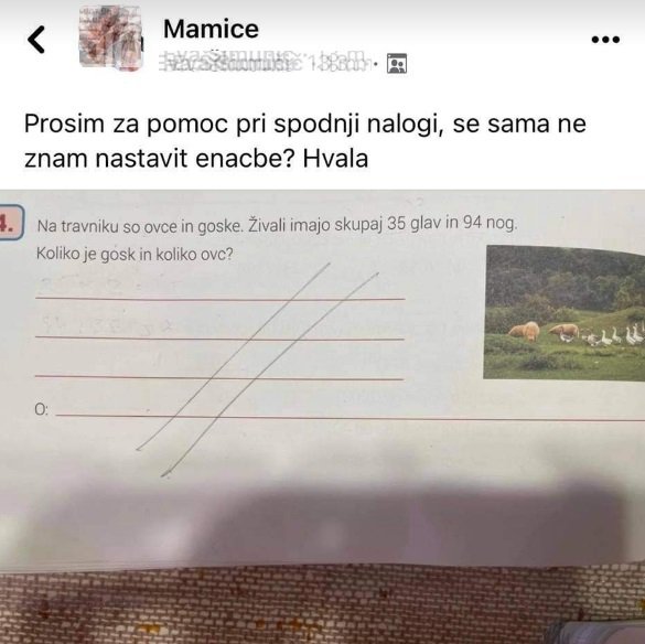 Mamica te naloge ni znala rešiti. Jo znate vi? FOTO: Facebook, posnetek zaslona
