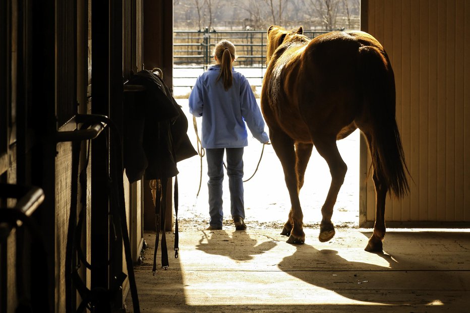 Fotografija: Od padca s konja je minilo dobrih devet let. FOTO: Brettdespain/gettyimages
