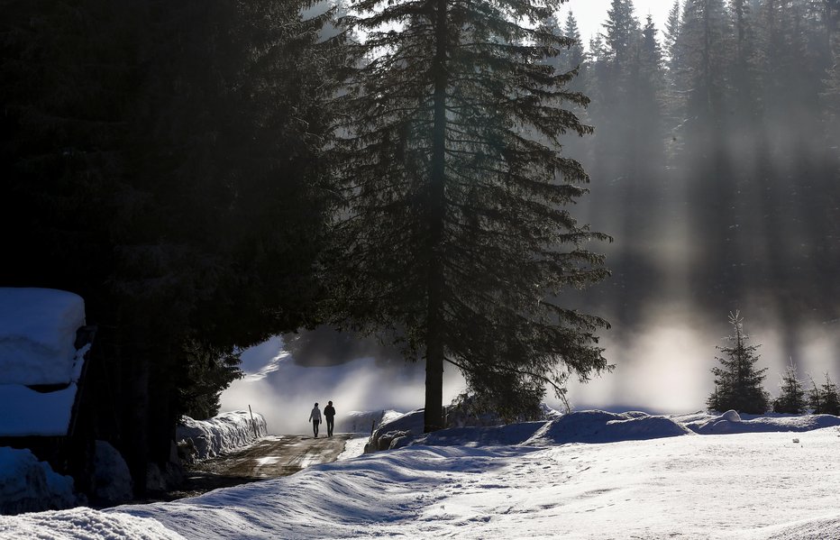 Fotografija: Pokljuka FOTO: Matej Družnik 
