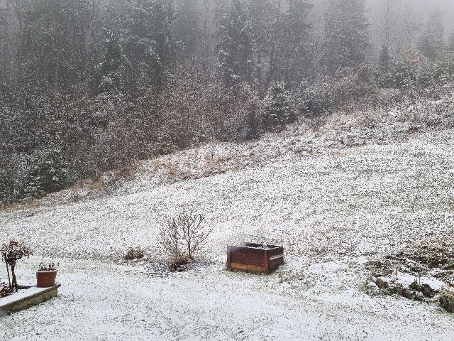 Fotografija: Sneg je že pobelil Črno na Koroškem. FOTO: Bralka Irena
