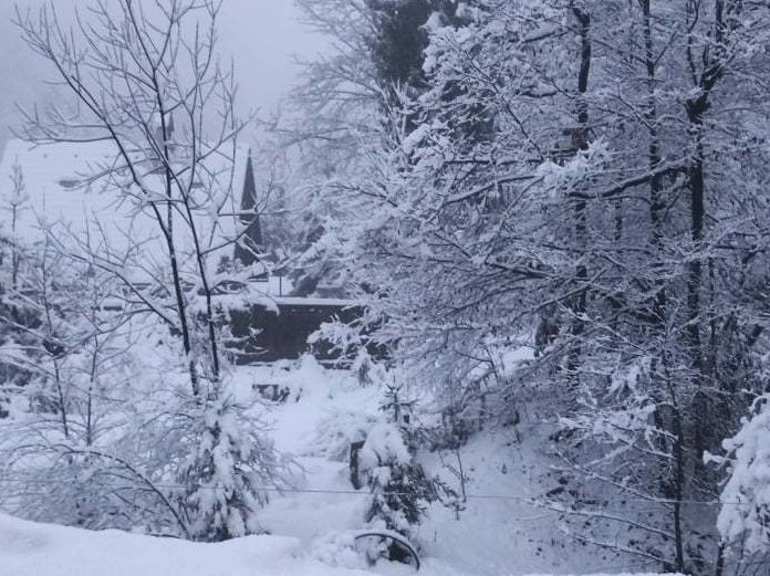 Fotografija: Tudi na Zaplani je zapadlo okoli 30 centimetrov snega. FOTO: Miša, bralka poročevalka
