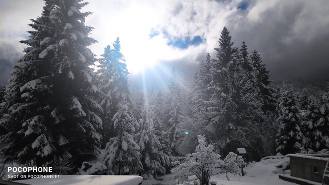 Idilična narava. FOTO: Karmen, bralka poročevalka
