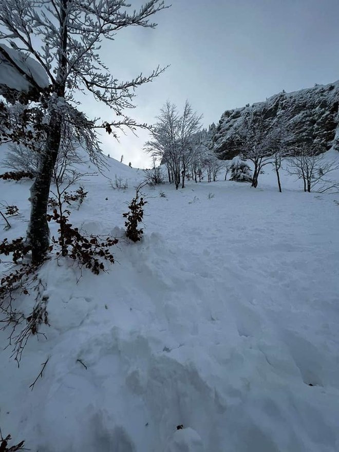 Odnesel ga je naravnost v drevo. FOTO: GRS Škofja Loka
