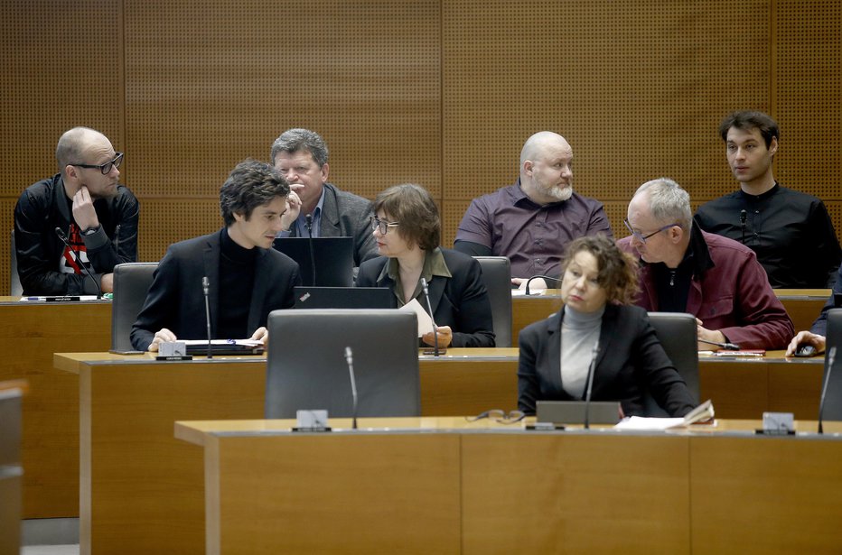 Fotografija: Violeta Tomić je razkrila, kako se je zdravila, njeni poslanski kolegi, se od tega ograjujejo. FOTO:  Blaž Samec
