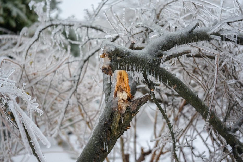 Fotografija: Nevarnejši je žled. FOTO: Arndt_vladimir/Getty Images
