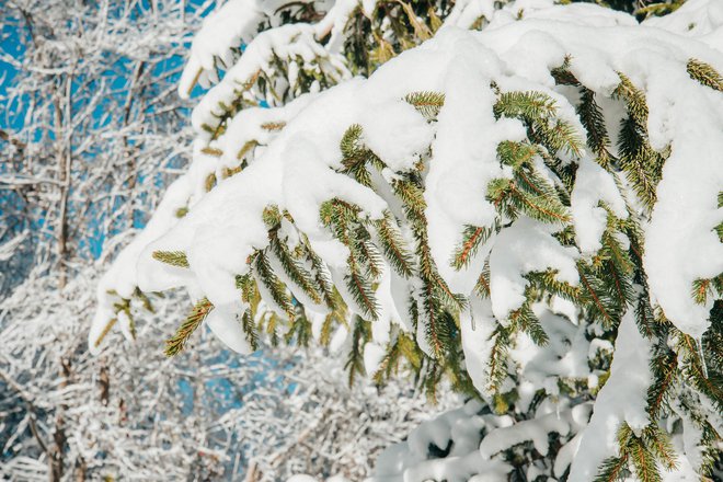 Pozorni smo na njegovo količino in strukturo. FOTO: Lauren Anderson/Getty Images
