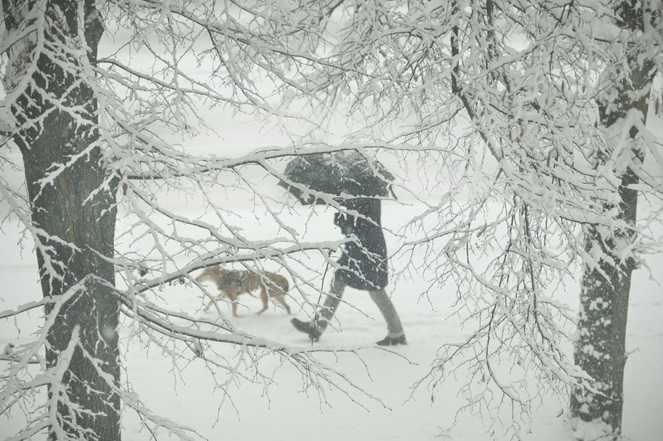 Fotografija: FOTO: Jure Eržen, Delo
