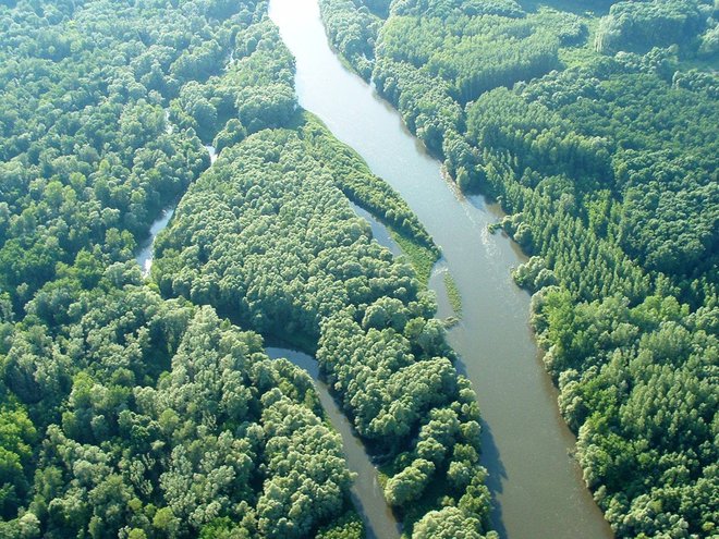 Pogled iz zraka, ki zaradi zelenja in barve reke spominja na drugo celino.
