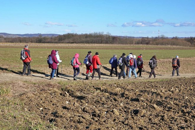 Pot je bila dolga 15 kilometrov. Hrano so imeli v nahrbtniku, pijačo v zidanicah. FOTOGRAFIJE: Jože Žerdin
