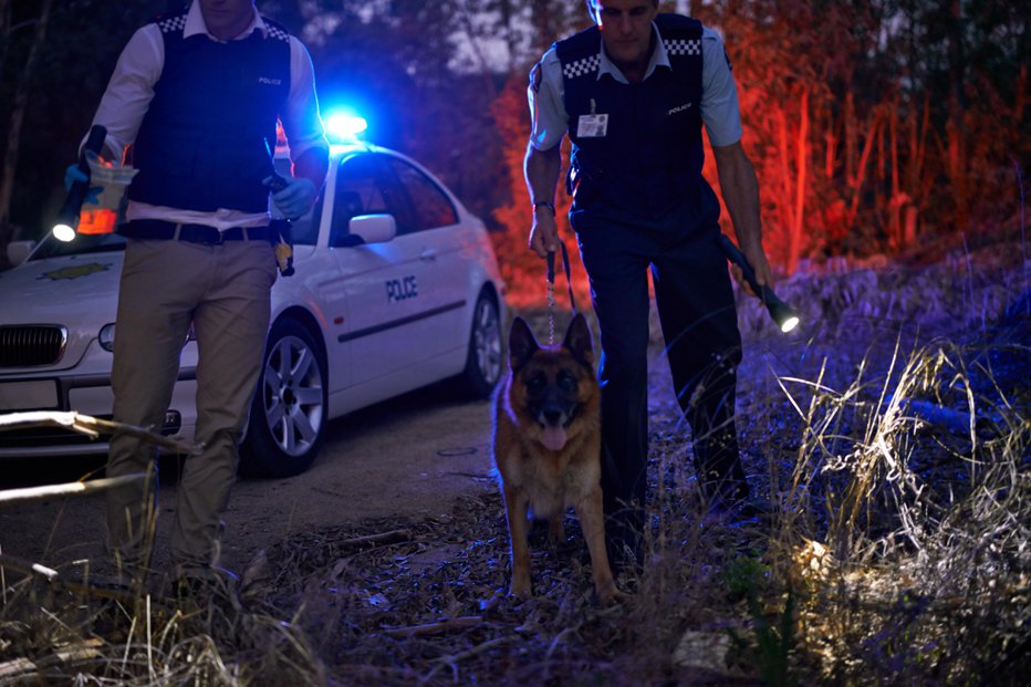 Fotografija: Fotografija je simbolična. FOTO: Yuri_arcurs, Getty Images, Istockphoto
