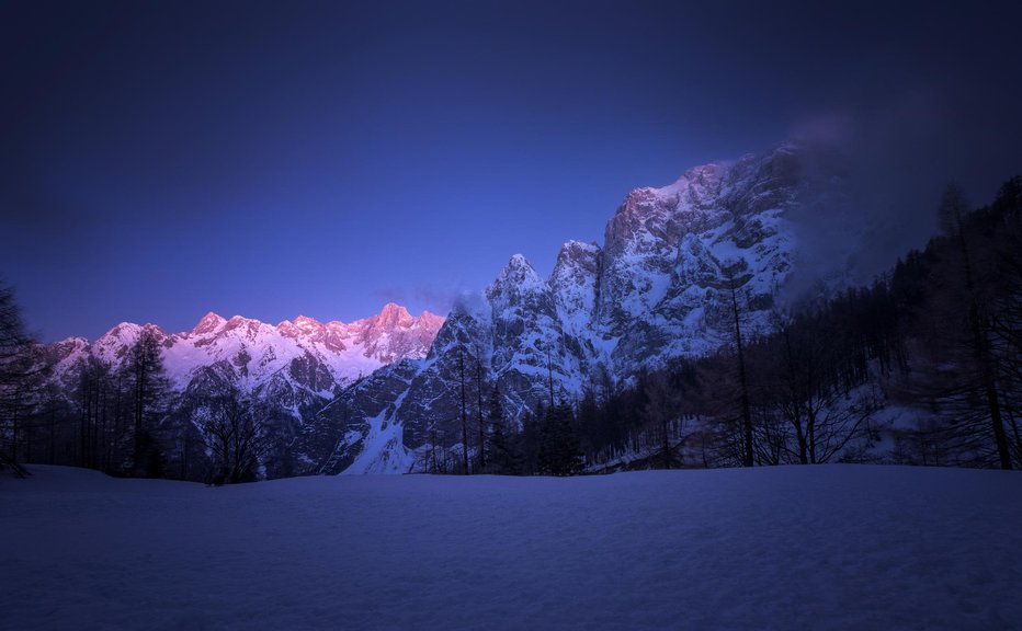 Fotografija: FOTO: Aleš Krivec, Getty Images/istockphoto
