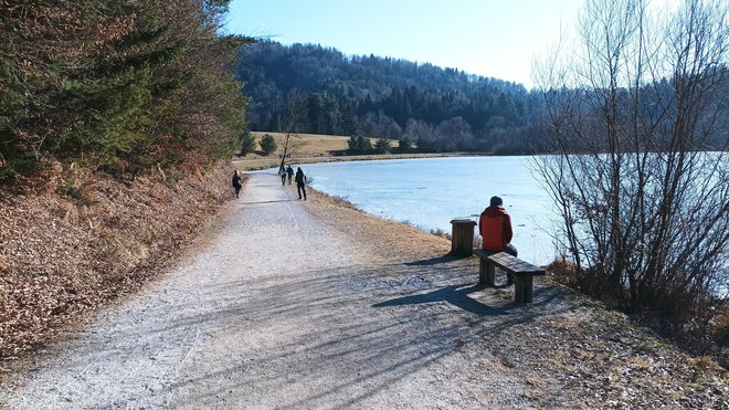 Kakšno uro umirjene hoje in krog je sklenjen. FOTO: Mitja Felc
