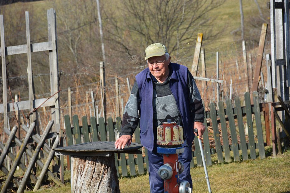 Fotografija: Kljub svojim letom še vedno poprime za kakšno lažje opravilo. Fotografije: Oste Bakal
