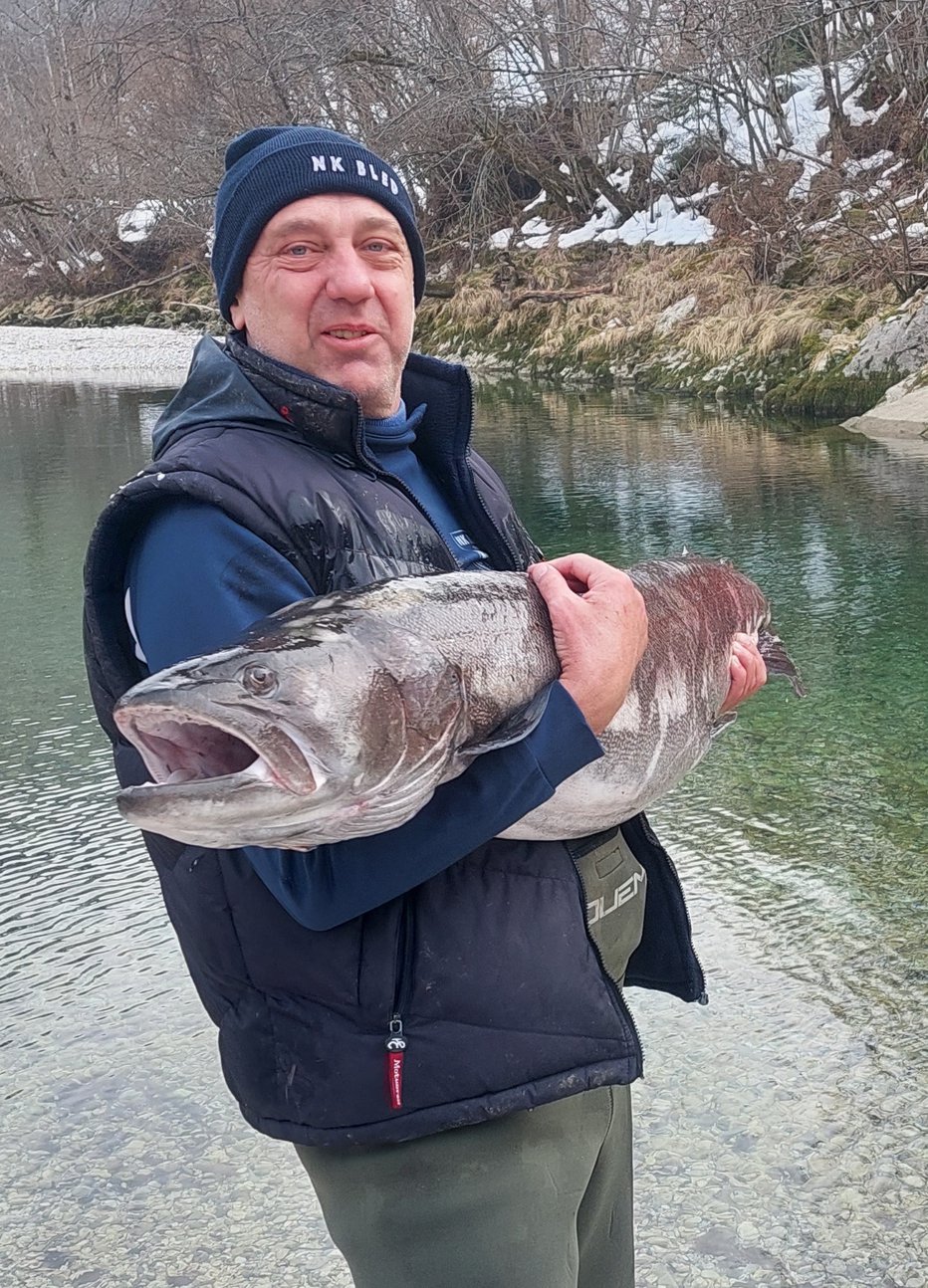 Fotografija: Miran Vovk z letošnjim februarskim kapitalnim 125-centimetrskim sulcem iz Save Bohinjke FOTO: BOŠTJAN FON
