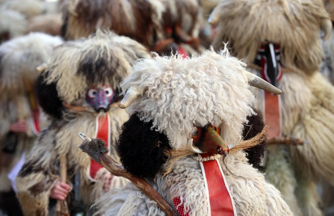 Etno karneval, Ptuj FOTO: Tadej Regent
