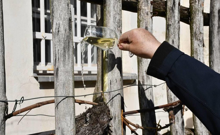 Fotografija: Po stari navadi FOTOGRAFIJE: Jože Žerdin
