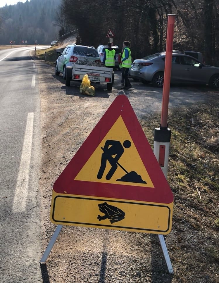 Fotografija: Postavljanje zaščitnih mrež ob cesti v Krajinskem parku Radensko polje FOTO: Life Amphicon
