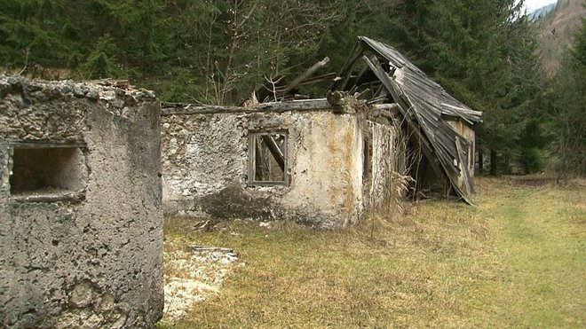 Trenta, zemljišče Janeza Janše. FOTO: Dokumentacija Dela
