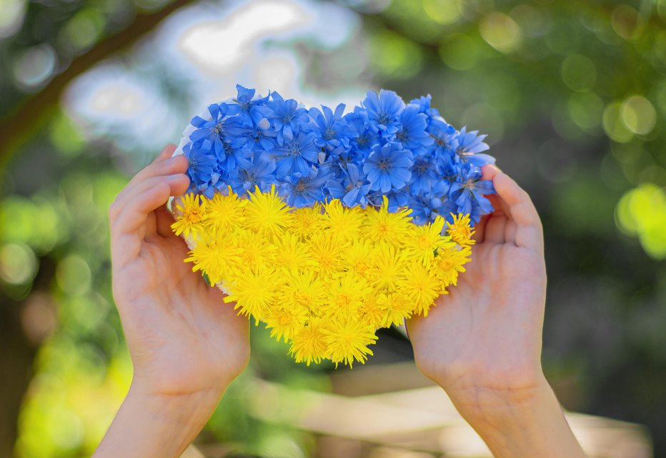 Fotografija: Na popoln mir v Ukrajini bomo čakali še leta. FOTO: Maryna Petrenko-shvets/Getty Images
