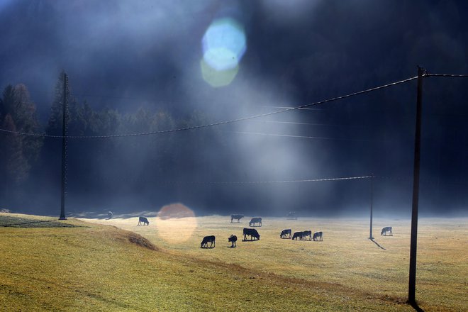 V temačnih dnevih in pozimi sončne elektrarne ne proizvedejo dovolj elektrike za vso porabo.  FOTO: Matej Družnik/Delo