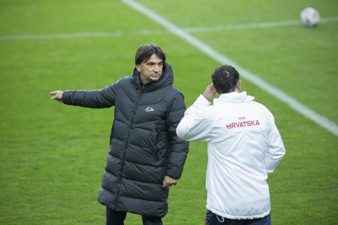 Zlatko Dalić se je moral sprijazniti s porazom. FOTO: Jure Eržen