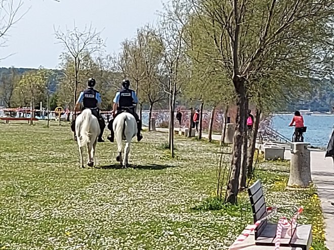 Na rtu Seča predstavniki civilne zaščite in policije spoštovanje odloka o omejitvi gibanja nadzorujejo tudi na konjih. FOTO: Suzana Kos