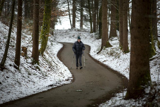 Prizor iz okolice Grosuplja. FOTO: Matej Družnik/Delo