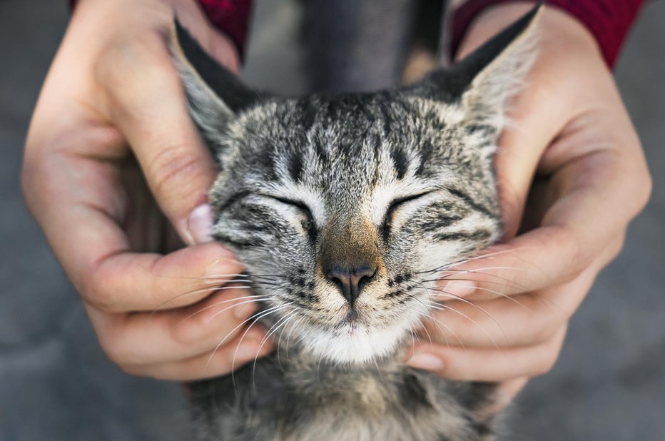 Fotografija: Crkljanje lahko traja ure in ure ... FOTO: Rawpixel Getty Images/istockphoto
