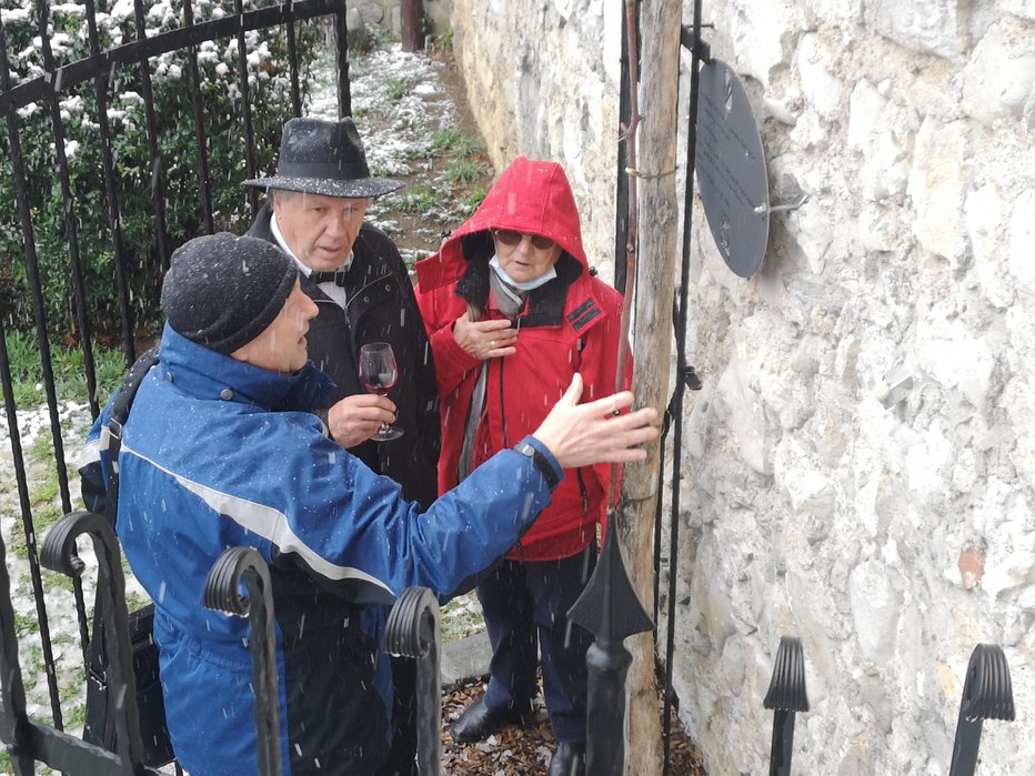 Fotografija: Negovati je treba poganjke mladik, pravi strokovnjak. FOTO: Milan Glavonjić
