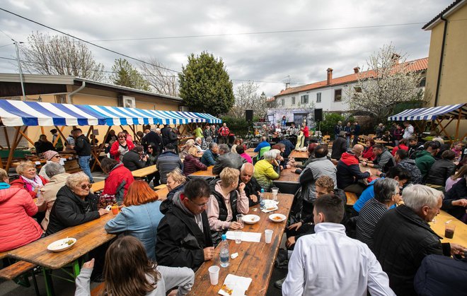 Na Škofijah se je trlo oboževalcev jedi iz divjih špargljev.
