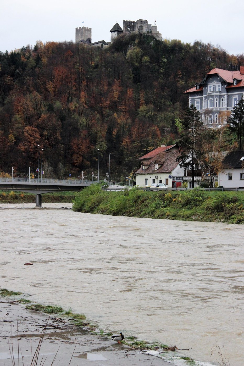 Fotografija: FOTO: Brane Piano
