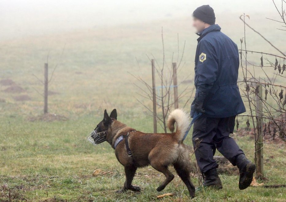 Fotografija: Fotografija je simbolična. FOTO: Marko Feist
