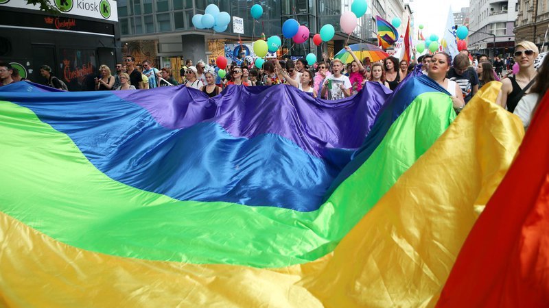 Fotografija: Festival, ki se je začel 3. junija, se je danes zaključil s paradnim dnem. FOTO: Uroš Hočevar, Delo
