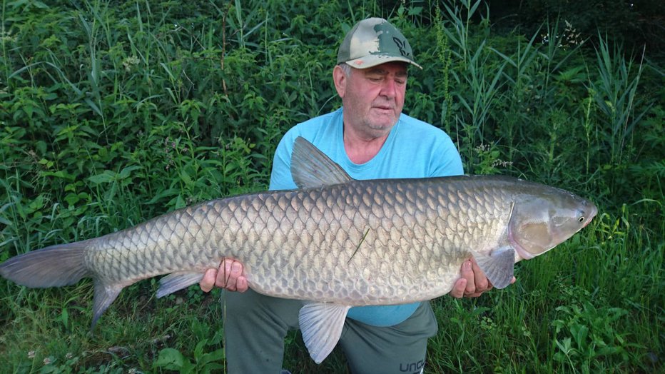 Fotografija: V enem dnevu je ujel amurja, težka 17 ter 19,30 kilograma. FOTO: Oste Bakal
