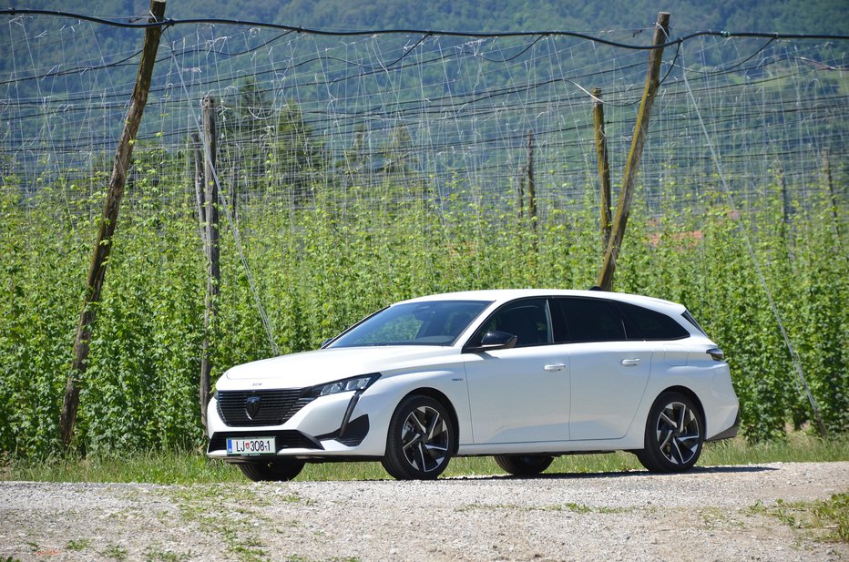 Fotografija: Peugeot 308 SW je eleganten model zmernih mer. FOTOGRAFIJI: Gašper Boncelj
