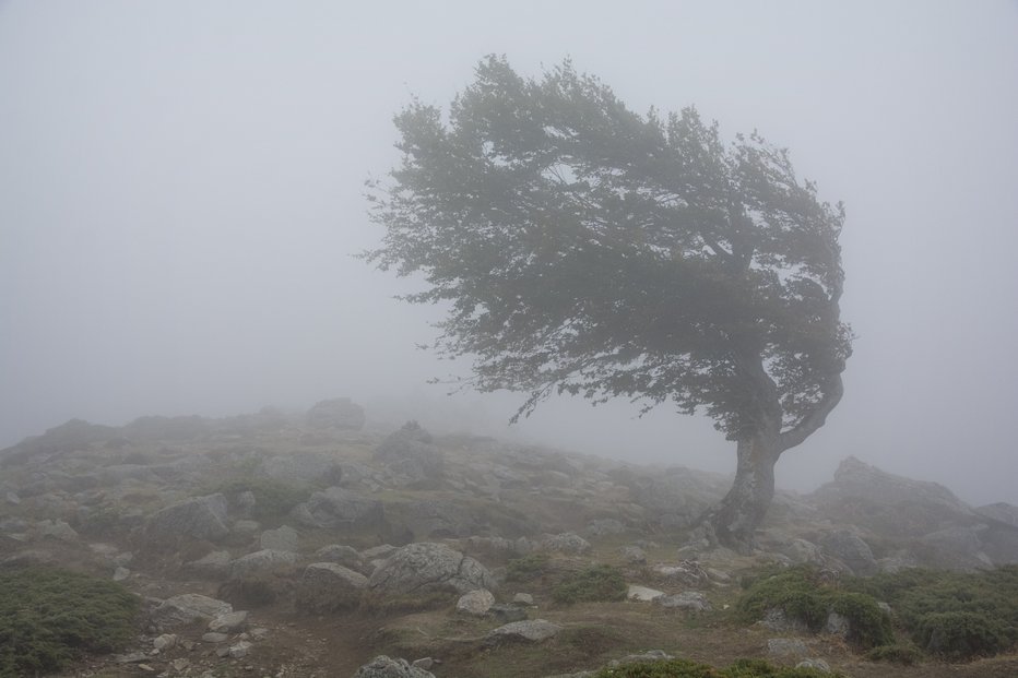 Fotografija: Simbolična fotografija. FOTO: Gettyimages
