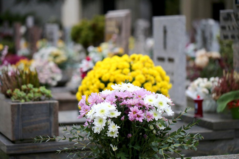 Fotografija: Simbolična fotografija. FOTO: Chiccododifc Getty Images/istockphoto
