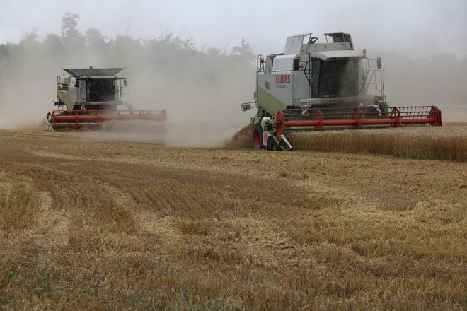 Kombajni na delu FOTO: Jože Pojbič
