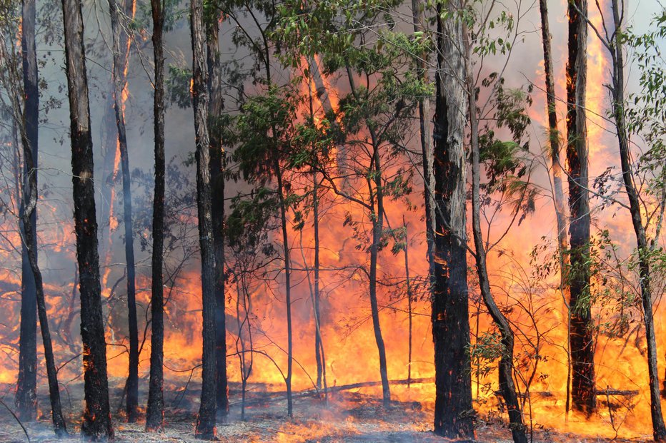 Fotografija: Simbolična fotografija. FOTO: Skipro101, Getty Images
