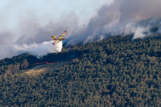 Naj bo tudi ta presunljivi dogodek priložnost, da ponovno združimo moči v želji po hitrejšem okrevanju narave.
