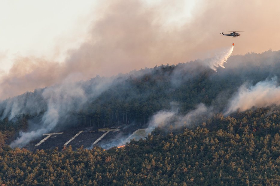 Fotografija: Pogorišče je skoraj štirikrat večje od ostankov požara, ki je leta 2019 besnel v okolici Pomnika miru na Cerju. FOTO: Turizem Miren-Kostanjevica
