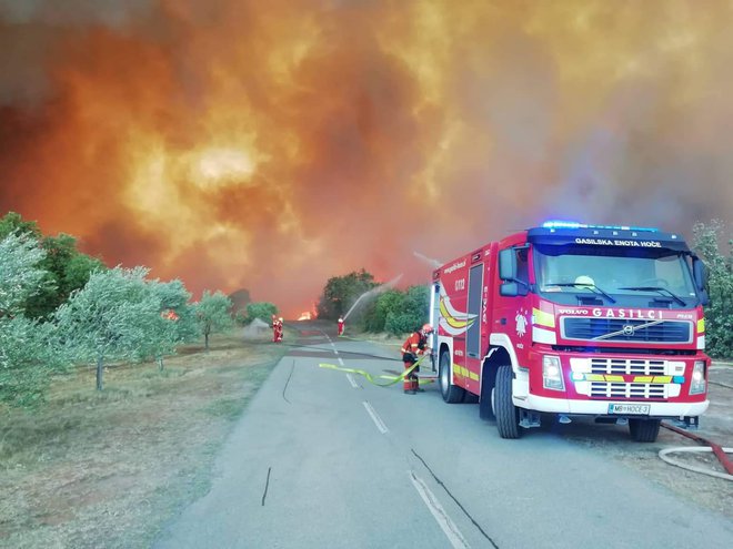 Požar se je iz Italije razširil na slovensko stran. FOTO: Matjaž Marušič, Gasilska enota Nova Gorica
